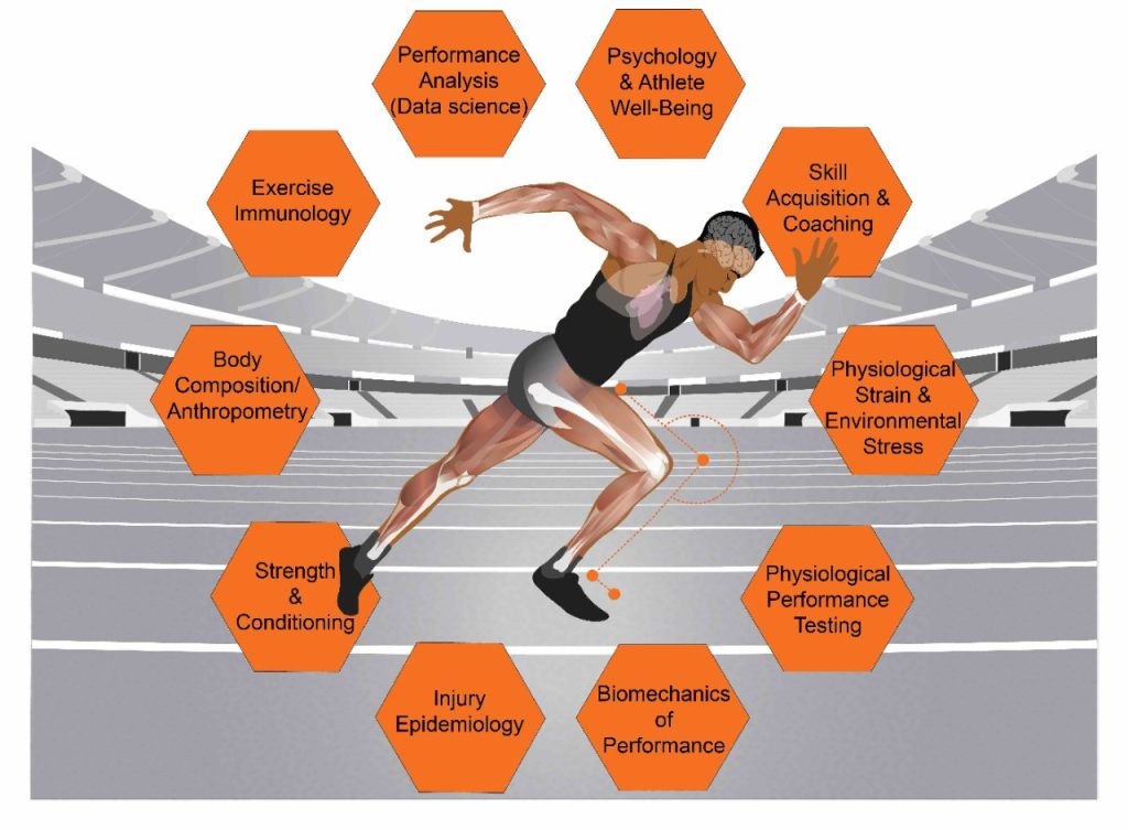 What are High Performance Sports