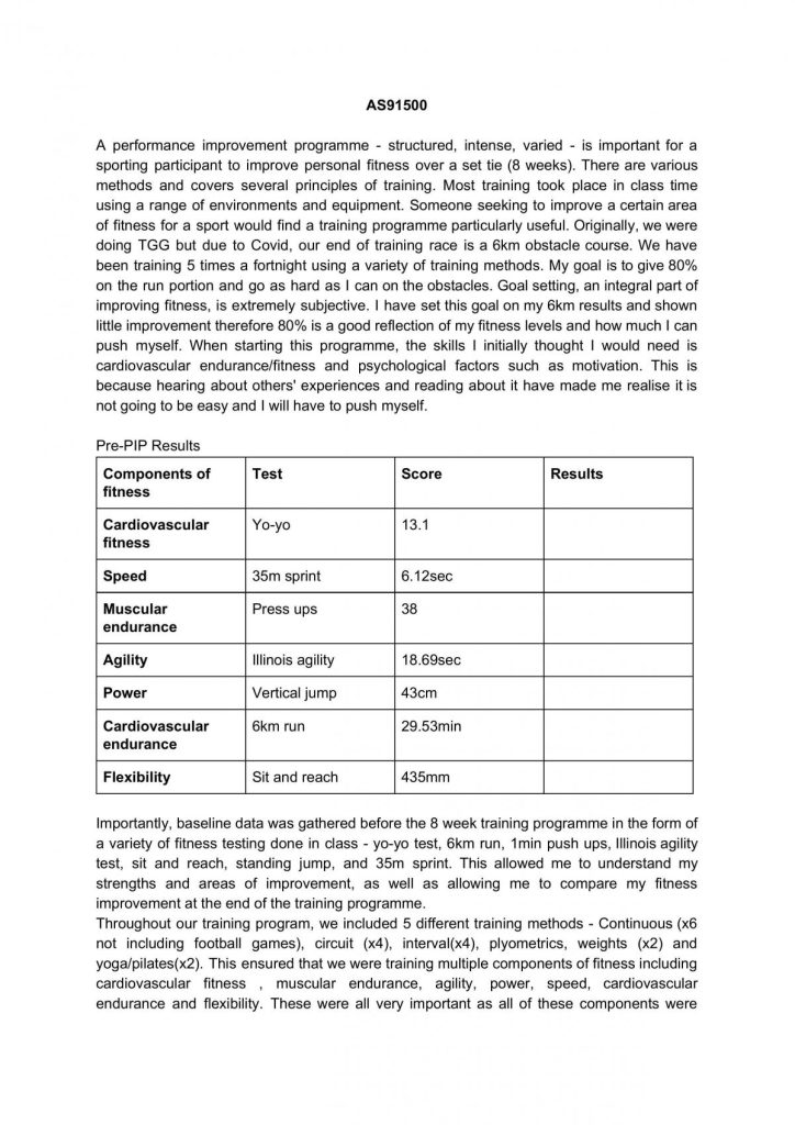 What is a Performance Improvement Programme in Sport